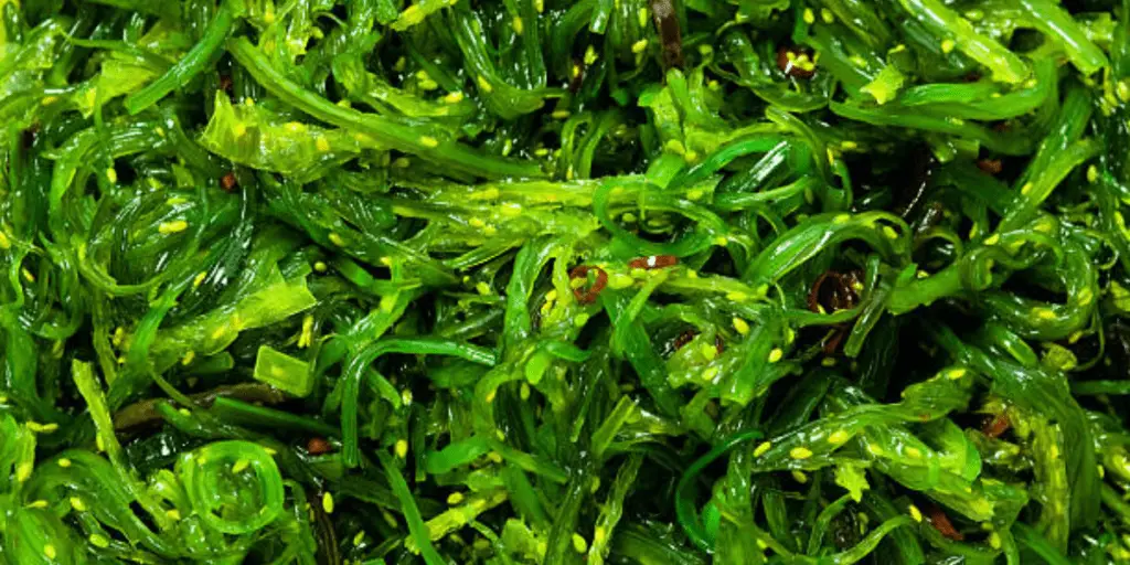 seaweed-salad-recipe